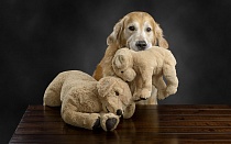 Случайный нулевой меридиан: основные моменты