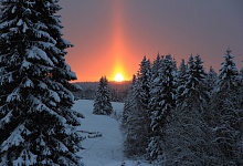 АО «Транснефть – Север» содействует в обеспечении сохранности природных территорий