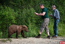 Эти дикие, дикие... люди 